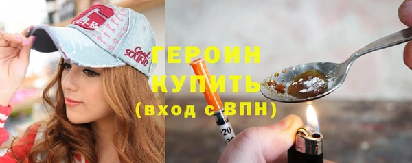гашик Алексин