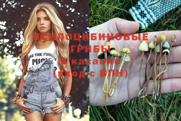 мескалин Аркадак