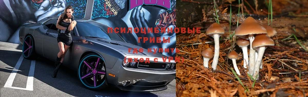 дурь Абдулино