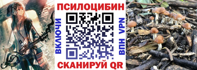 Псилоцибиновые грибы GOLDEN TEACHER  Каменск-Уральский 